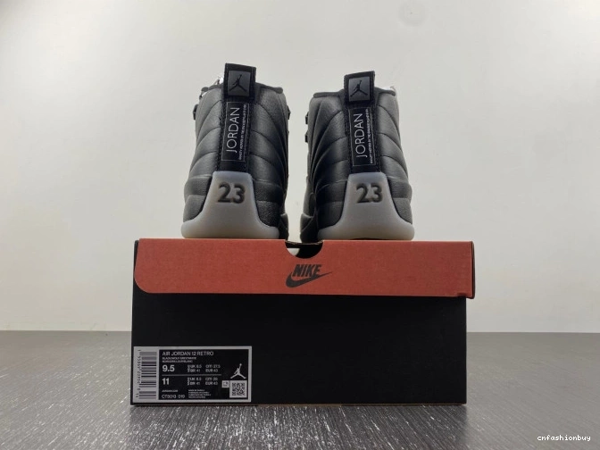 Grey 12 Wolf Black CT8013-019 Jordan Air 1204